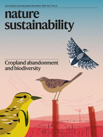 Nature Sustainability, December 2024 Issue Cover.